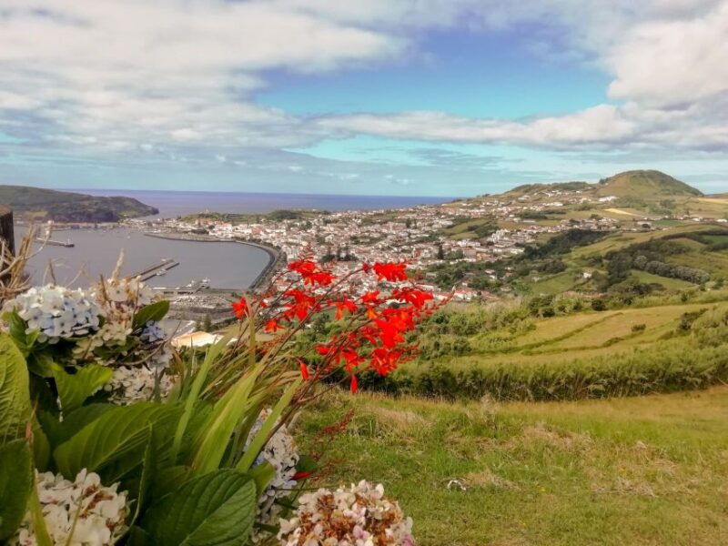 horta-faial-island-half-day-tour