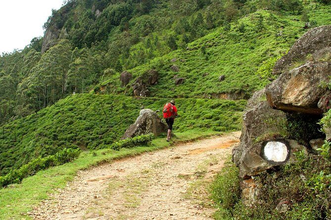 Horton Plains National Park Tour With Scenic Train Ride - The Value of the Tour