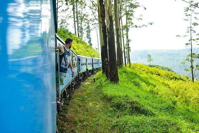 Horton Plains National Park Tour With Scenic Train Ride - The Sum Up
