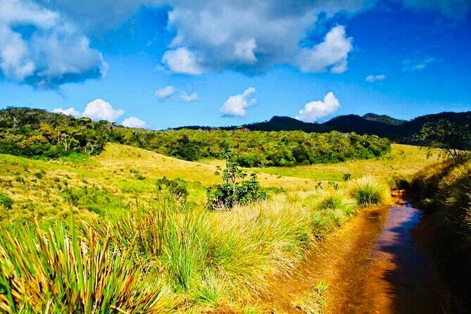 Horton Plains Park & Worlds End Guided Trekking From Nuwara Eliya - Visiting Ambewela Farms and the Local Agriculture Scene