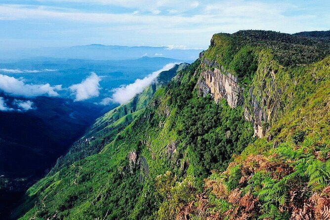 Horton Plains Park & Worlds End Guided Trekking From Nuwara Eliya - The Sum Up