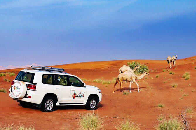 Hot Air Balloon Adventure Ride in Dubai with Hotel Pick up & drop - Key Points