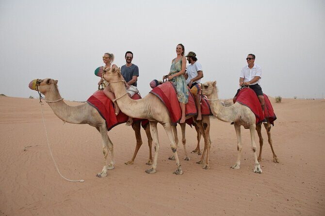Hot Air Balloon Adventure Ride in Dubai with Hotel Pick up & drop - Who Should Consider This Tour?