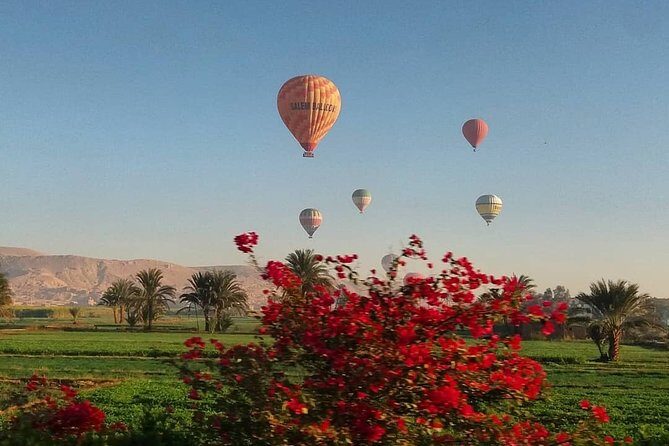Hot Air Balloon Ride and Tour to Valley of Kings Luxor- Special Offer - An Overview of the Tour