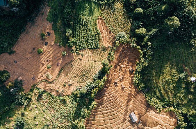 Hot Air Balloon Ride in Dambulla - Practical Tips for Your Balloon Adventure