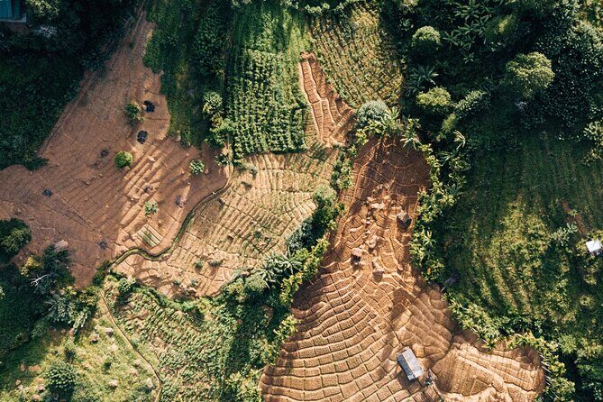 Hot Air Balloon Ride in Dambulla - FAQ