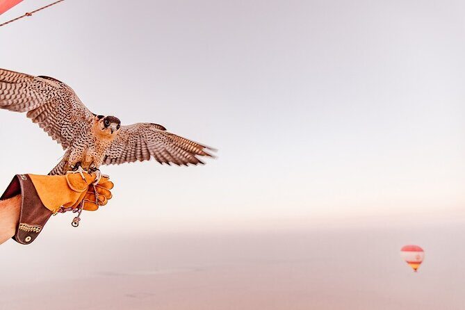 Hot Air Balloon Ride & In-flight Falcon Show including Transfers - Unique Aspects Highlighted by Guests