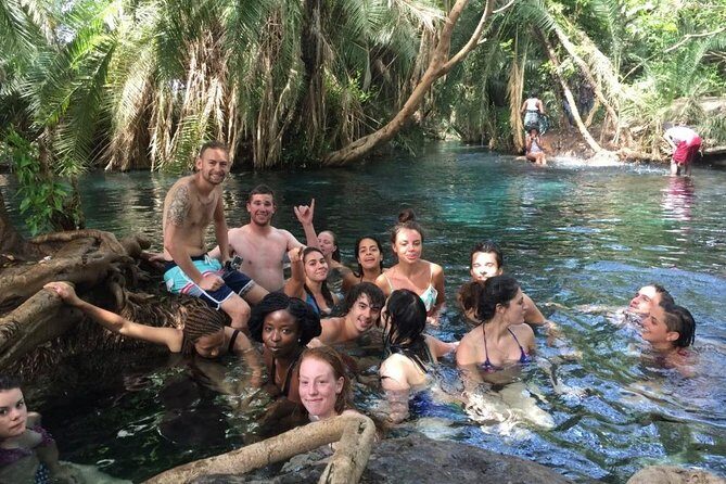 Hot Spring Day Trip - Exploring the Kikuletwa Hot Springs Experience