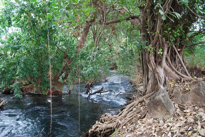 Hot Spring Day Trip - Who Should Consider This Tour?