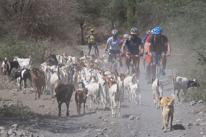 Hot Springs Bike tour - Key Points