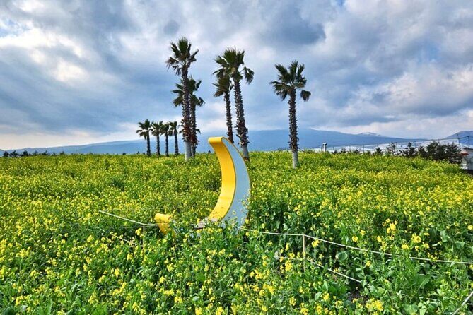 (Hotel PickUp) Jeju EAST Canola Flower Festival Tour with UNESCO - Final Thoughts