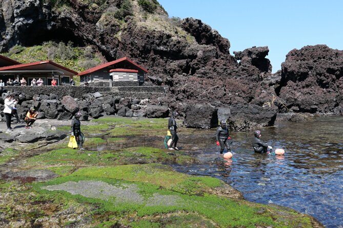 (Hotel PickUp) Jeju EAST Canola Flower Festival Tour with UNESCO - FAQ