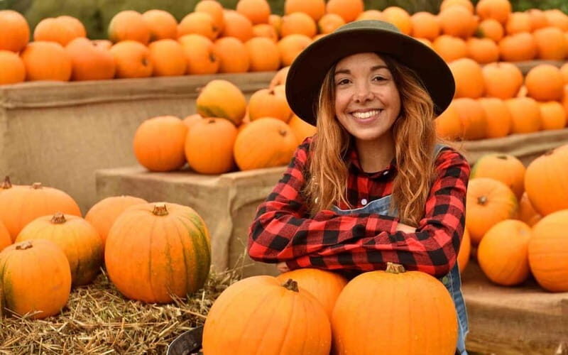 Hounslow: Pumpkin Patch Plus Entry to Hobbledown Heath - Key Points