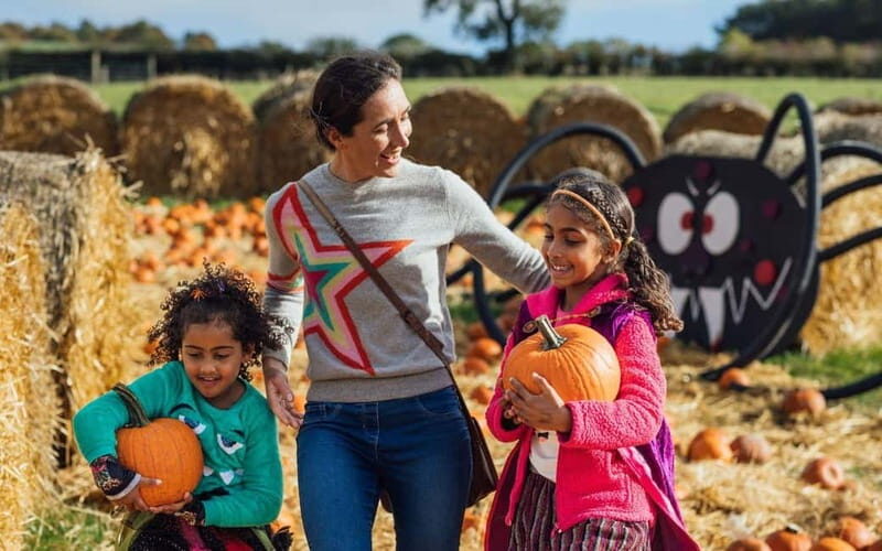 Hounslow: Pumpkin Patch Plus Entry to Hobbledown Heath - Tips for Making the Most of Your Visit