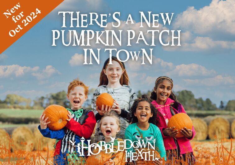 Hounslow: Pumpkin Patch Plus Entry to Hobbledown Heath - Who Will Love This Experience?
