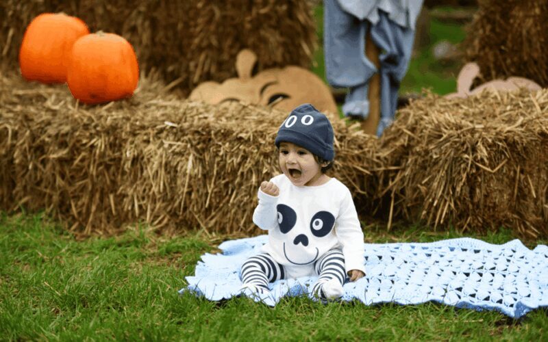 Hounslow: Pumpkin Patch Plus Entry to Hobbledown Heath - The Sum Up