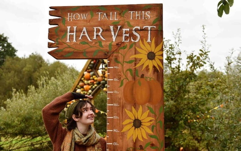 Hounslow: Pumpkin Patch Plus Entry to Hobbledown Heath - FAQ