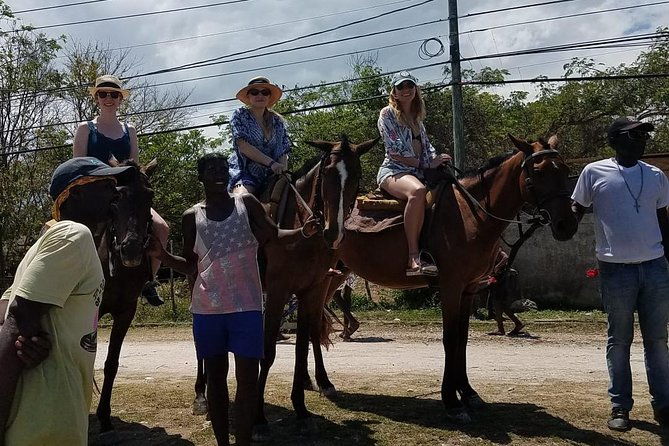 hour-horseback-riding-guided-tour-from-runaway-bay