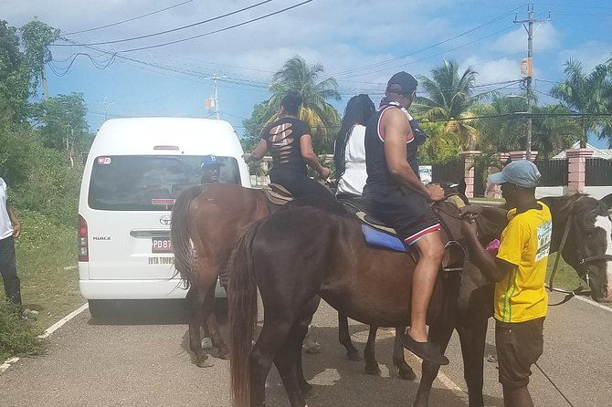 hour-horseback-riding-guided-tour-from-runaway-bay