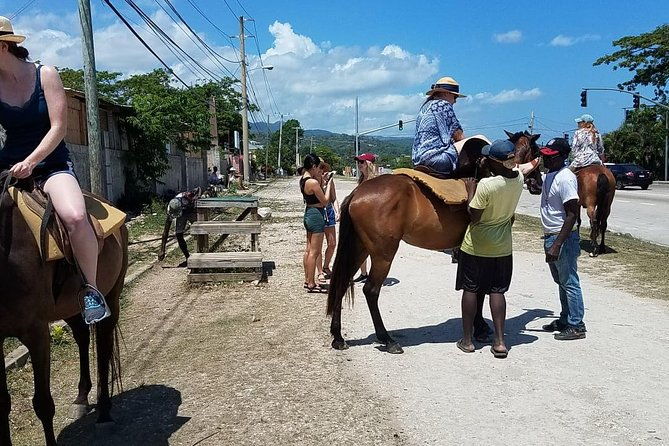 hour-horseback-riding-guided-tour-from-runaway-bay