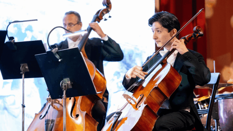 house-of-strauss-live-concert