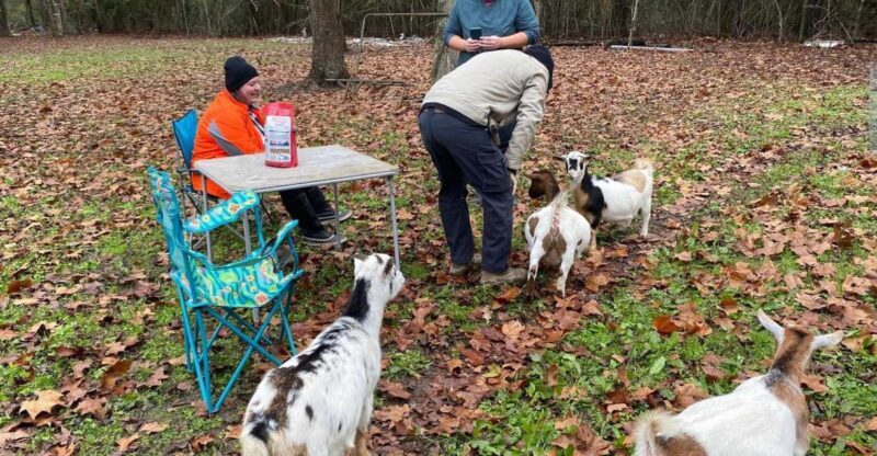 Houston: Adorable mini goats experience e - Frequently Asked Questions