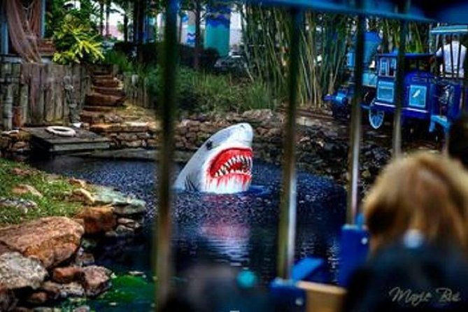 houston-city-tour-and-downtown-aquarium-all-rides-pass