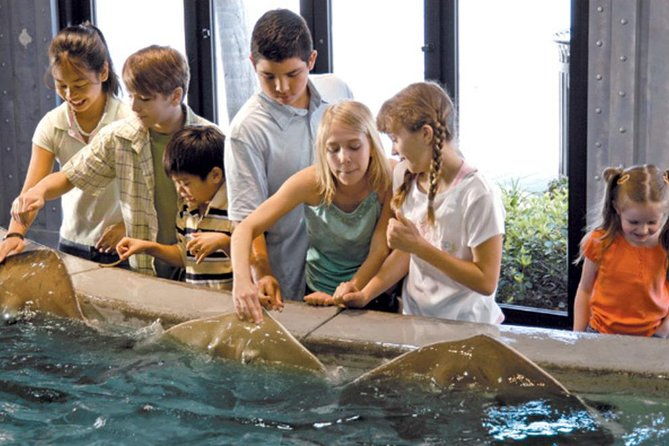 houston-city-tour-and-downtown-aquarium-all-rides-pass