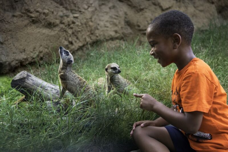 Houston CityPASS®: Save up to 51% at 5 Top Attractions - Who Should Consider This Tour?