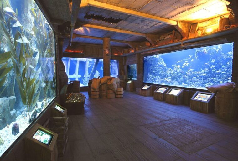 houston-citypass-save-up-to-51-at-5-top-attractions