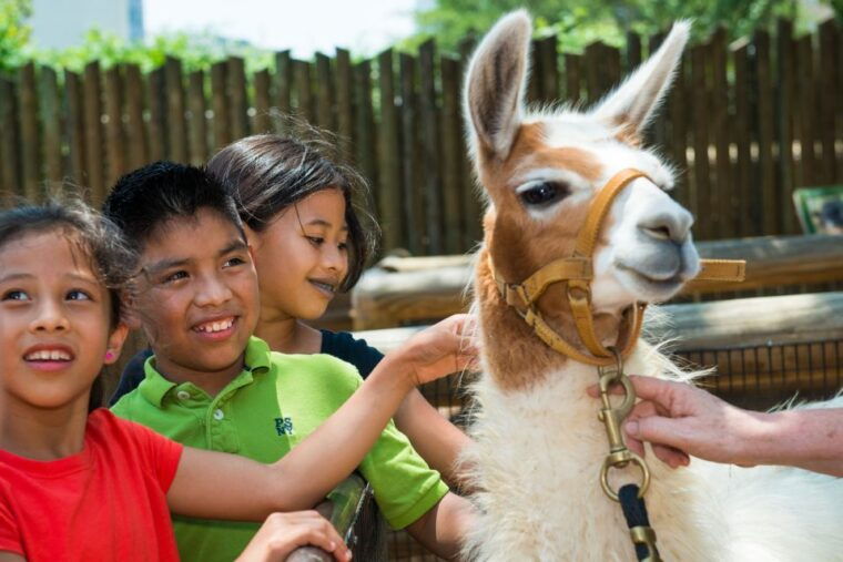 houston-citypass-save-up-to-51-at-5-top-attractions