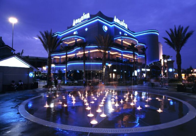 Houston: Downtown Aquarium All Day Pass - Exploring Houston’s Downtown Aquarium: An In-Depth Look