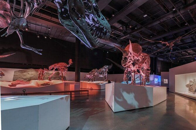 houston-museum-of-natural-science-and-cockrell-butterfly-center