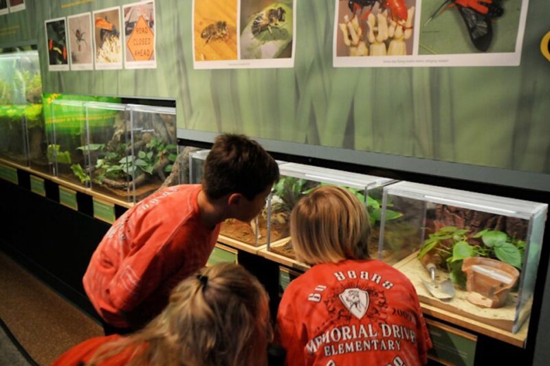 Houston Museum of Natural Science: Cockrell Butterfly Center - Interactive and Educational Elements