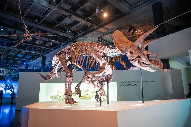 houston-museum-of-natural-science-general-admission