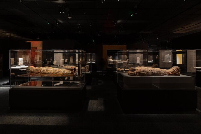 houston-museum-of-natural-science-general-admission