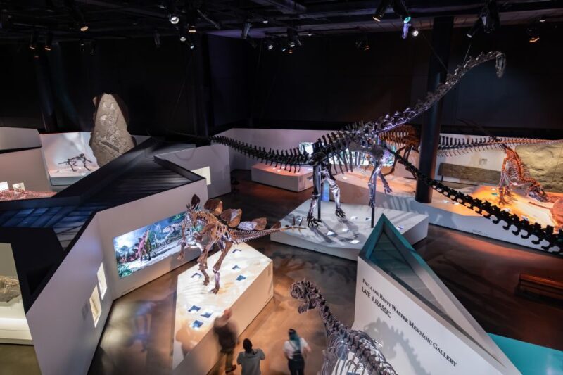 Houston Museum of Natural Science General Admission Ticket - Who Should Visit?  