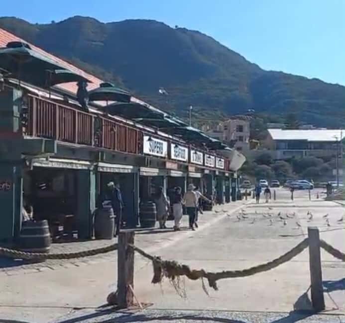 Hout Bay: Seal Island Boat Trip with World of birds visit - Key Points