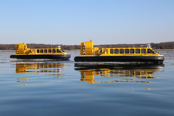 hovercraft-eco-adventure-and-wildlife-viewing