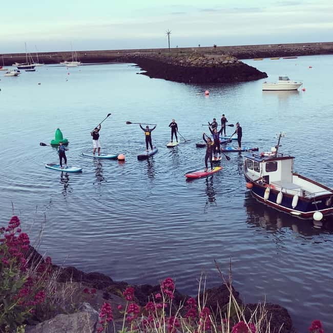 Howth: Paddleboarding Lesson in Howth Harbour - FAQs