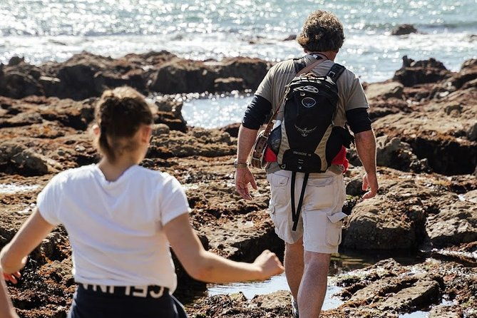 howth-peninsula-hiking-tour-overlooking-dublin-bay