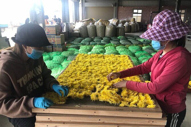 Hsinchu Sugar Culture and Dried Persimmon Experience from Taipei - The Sum Up