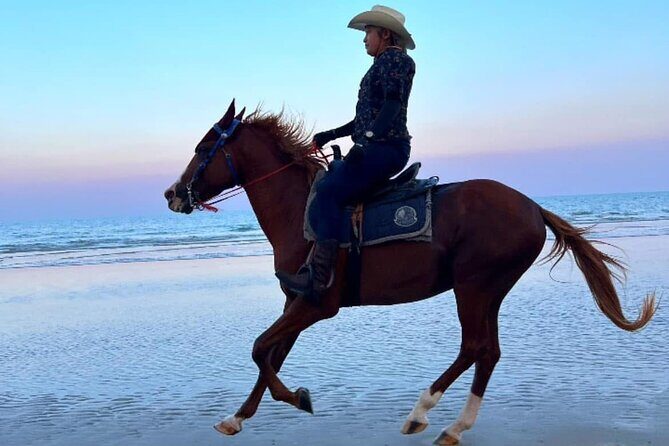 Hua Hin Beach and Trail Horseback Riding Experience - What to Expect from the Hua Hin Horseback Riding Tour