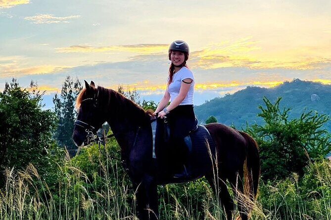 Hua Hin Beach and Trail Horseback Riding Experience - Who Will Love This Experience?