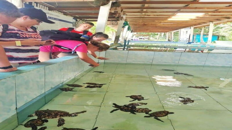 hua-hin-koh-talu-snorkeling-with-lunch-private-4-pax-up