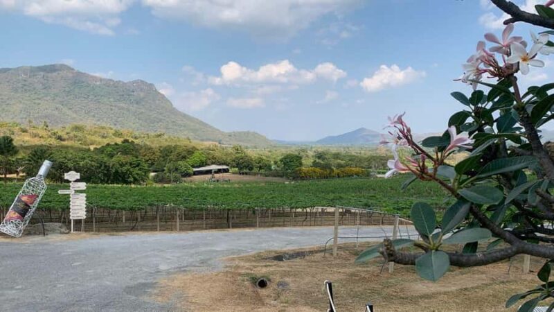 Hua Hin: Monsoon Valley Wine Tasting & Temple Tour - Key Points