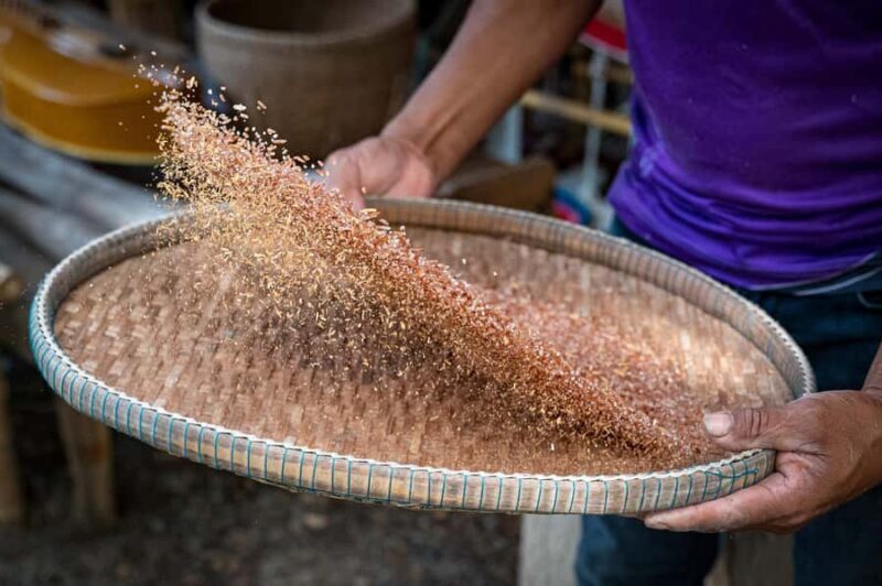 Hua Hin: Rice Farm Experience with Lunch in Phetchaburi - Discover the Authentic Charm of a Rice Farm in Phetchaburi