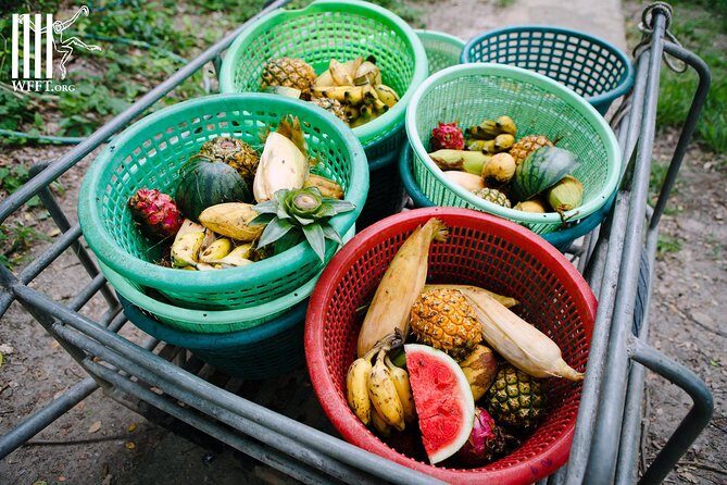 Hua Hin : Wildlife Friend Foundation Day Trip - Additional Insights from Reviews