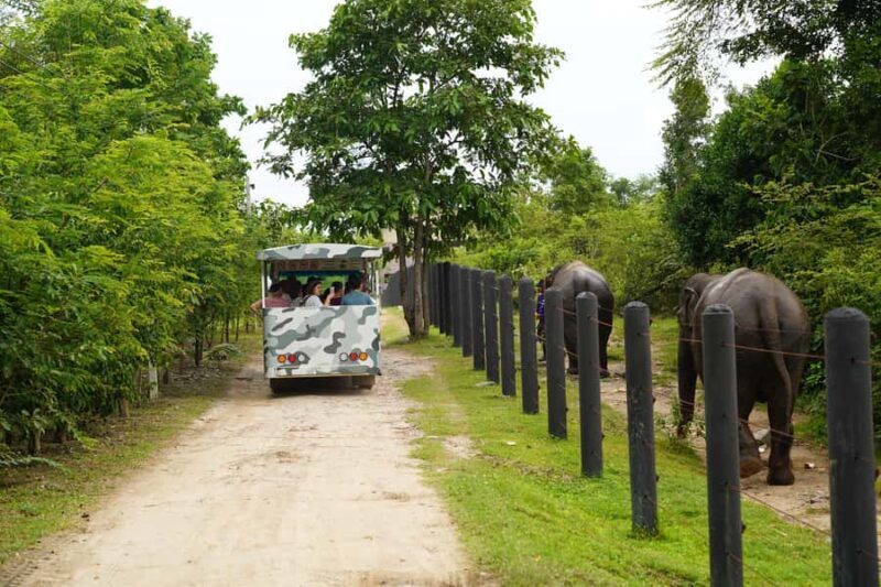 Hua Hin: Wildlife Friends Foundation Thailand Full-Day Visit - Key Points