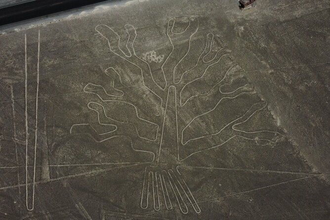 huacachina-oasis-and-nazca-lines-overflight-2d-1n